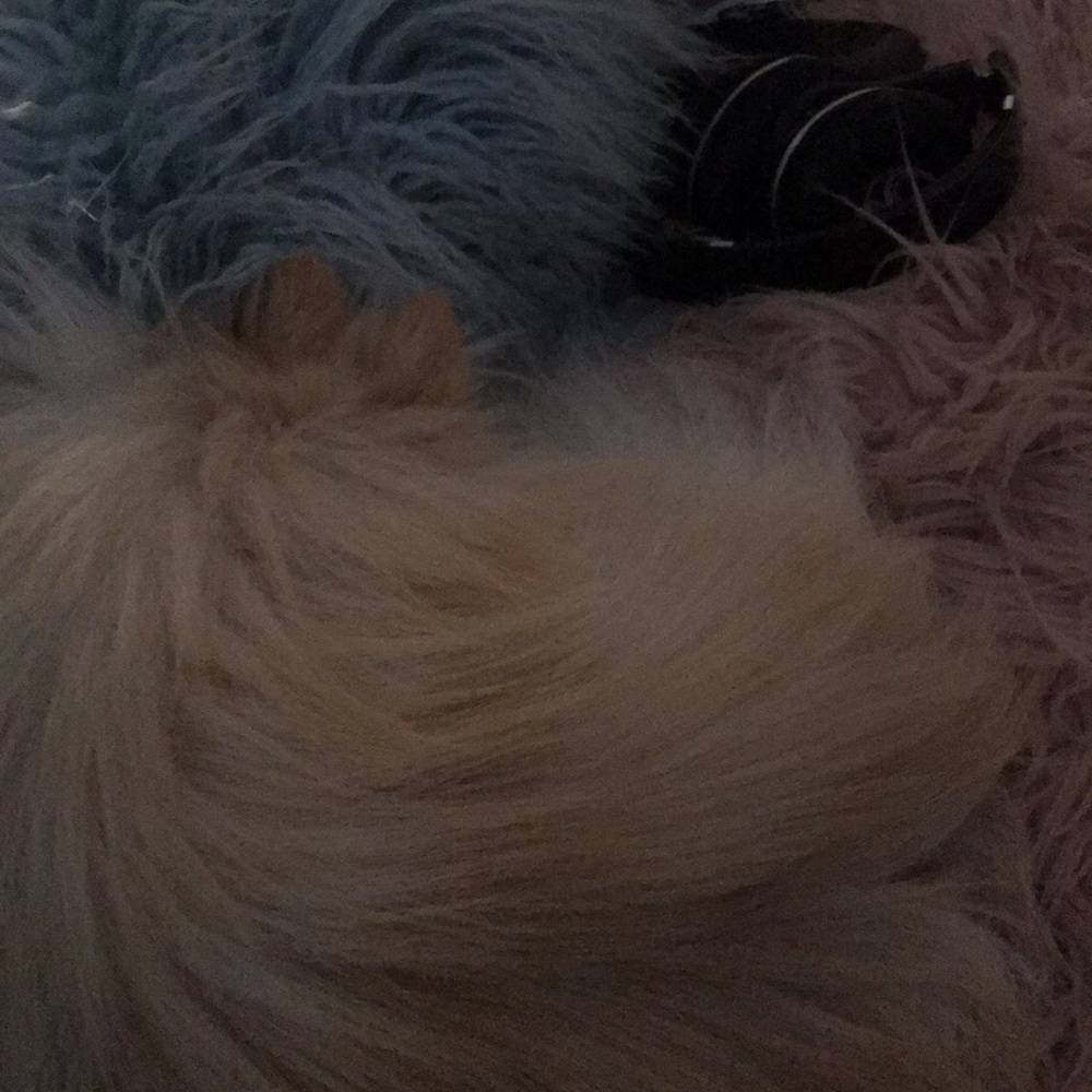 Meet your Posher, Jes